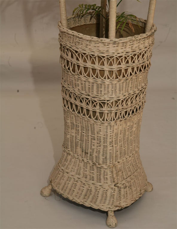 wicker fernery